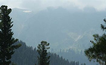 Hotel Zahgeer Continental Gulmarg Luaran gambar